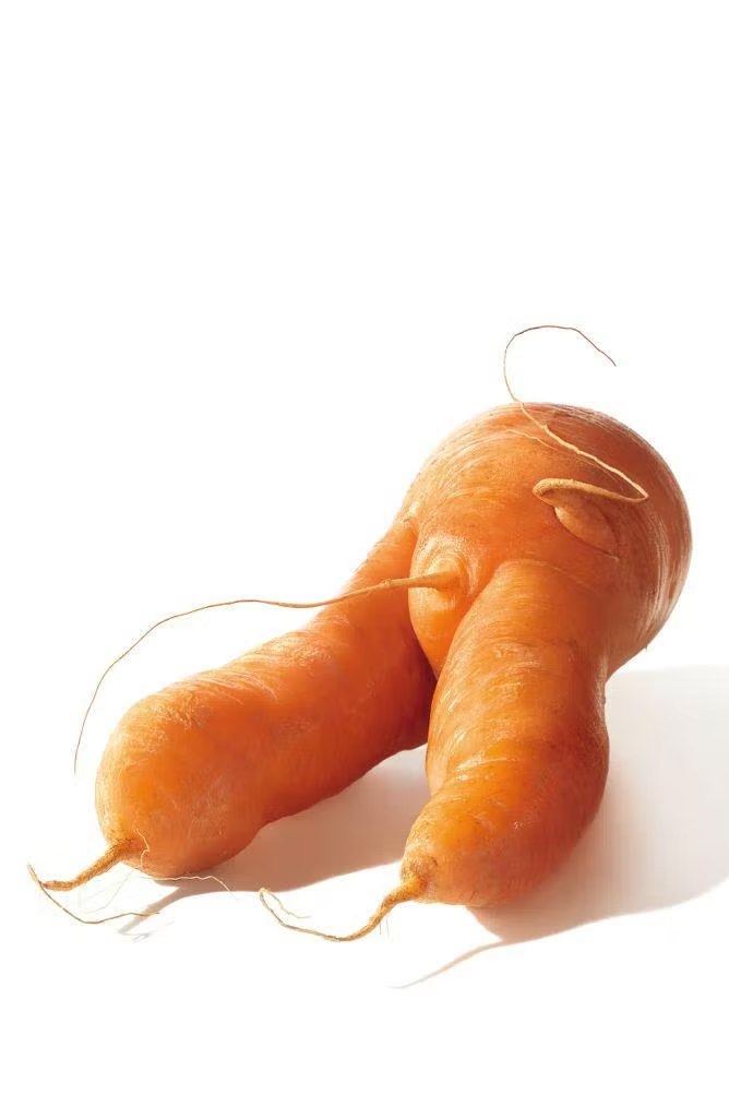 A 3D model of deformed carrots