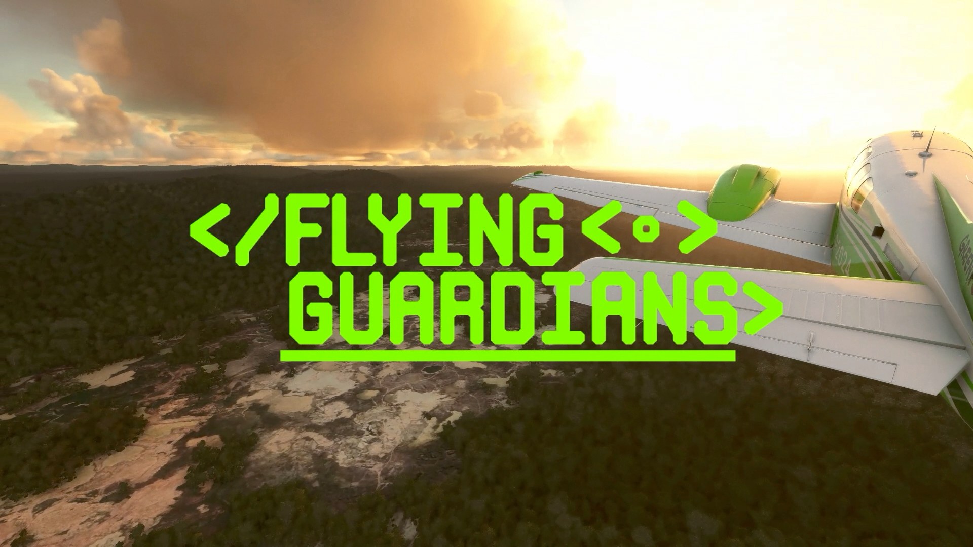 The Flying Guardians campaign title over the aircraft