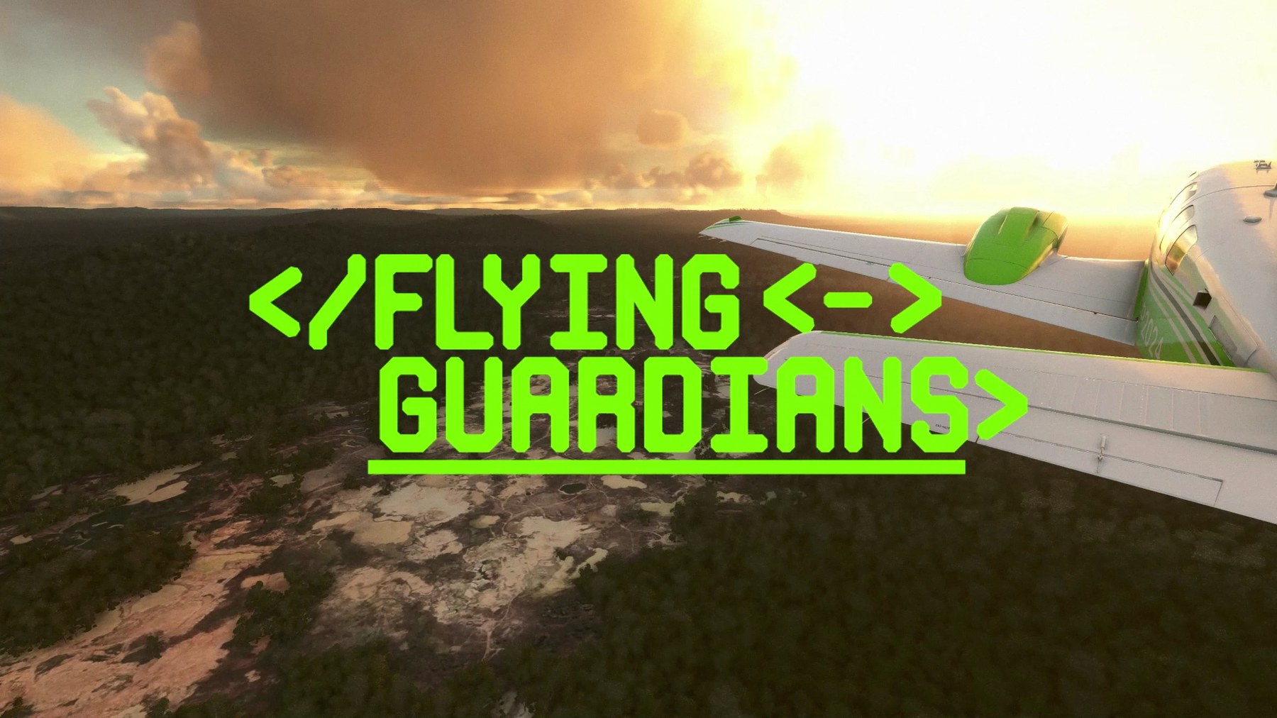 The Flying Guardians title in green code brackets over an aerial view of forest
