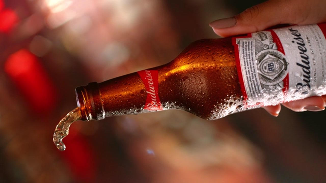 Budweiser Família