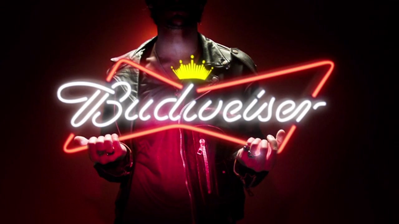 Budweiser Guitar
